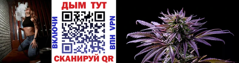 Где купить наркоту Няндома ГАШИШ  COCAIN  Мефедрон  Конопля 