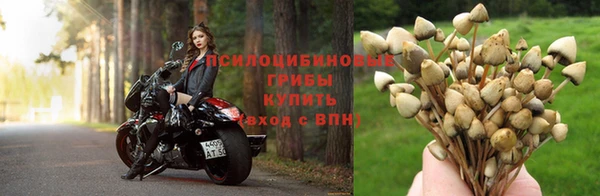 дистиллят марихуана Белокуриха