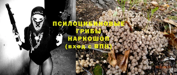 ПСИЛОЦИБИНОВЫЕ ГРИБЫ Белоозёрский