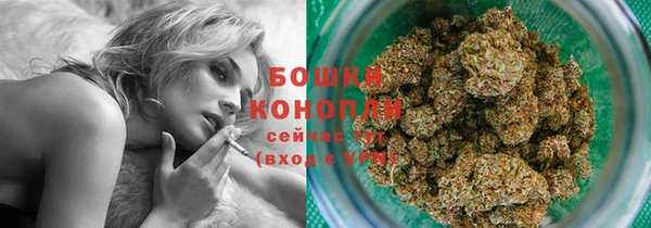 ПСИЛОЦИБИНОВЫЕ ГРИБЫ Белоозёрский